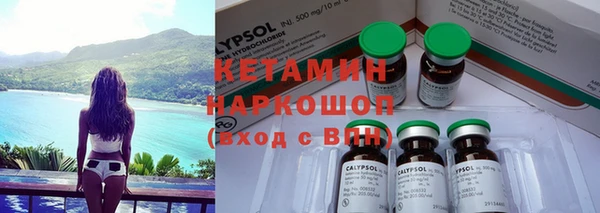 прущие грибы Алзамай