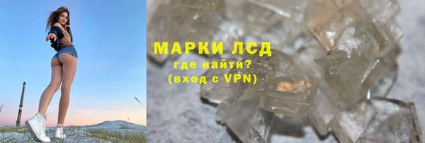 прущие грибы Алзамай
