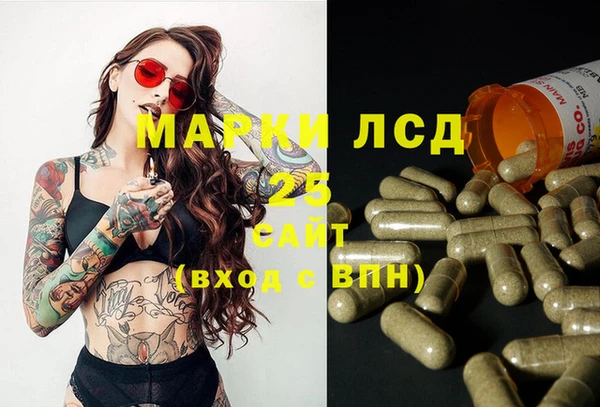 прущие грибы Алзамай