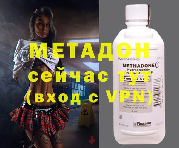 прущие грибы Алзамай