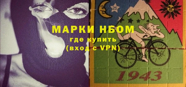 прущие грибы Алзамай